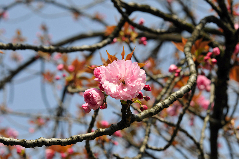 image0212