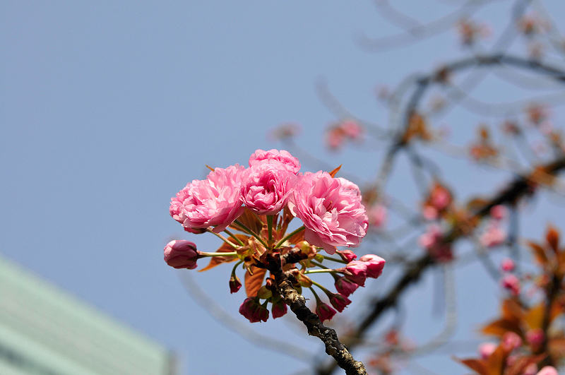 image0213