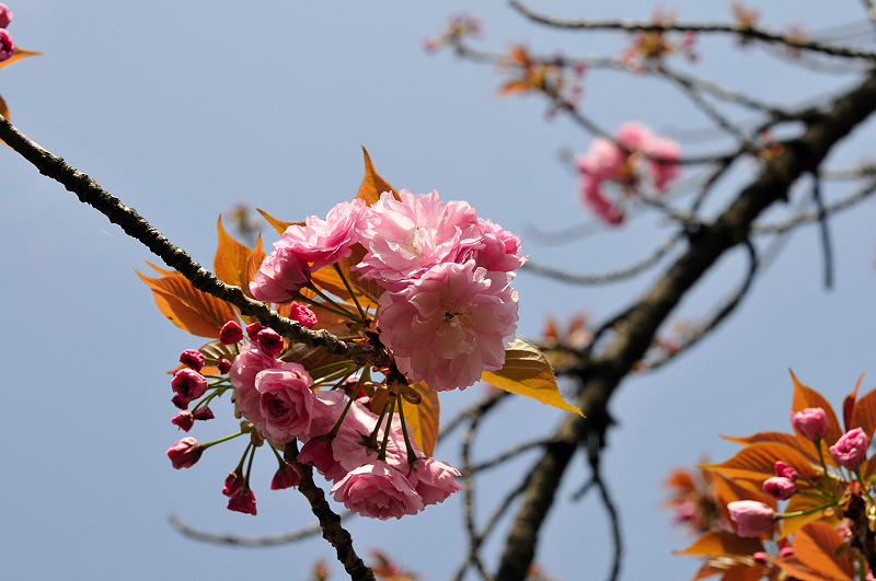 image0214