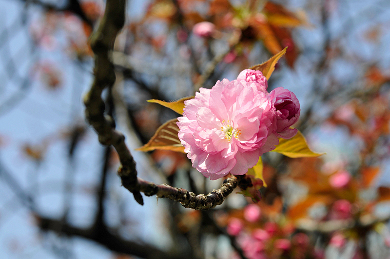 image0215