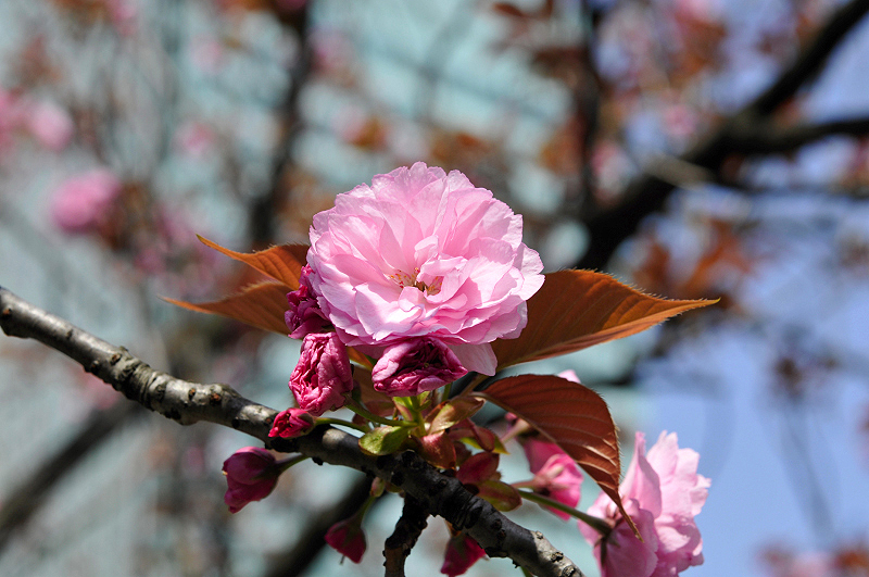 image0216
