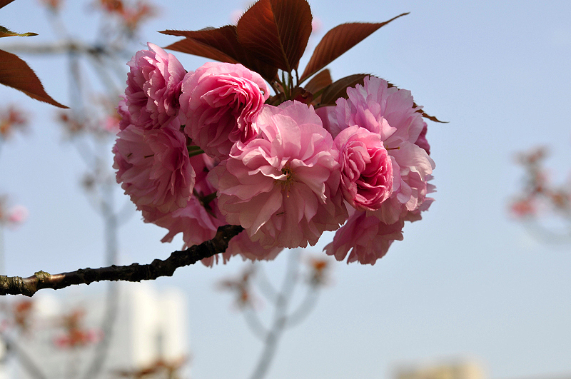 image0217