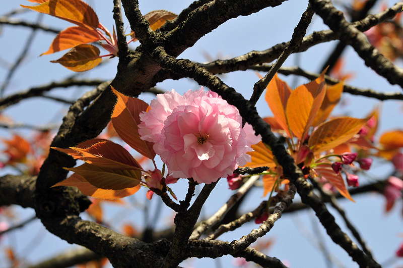 image0218