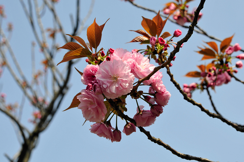 image0220