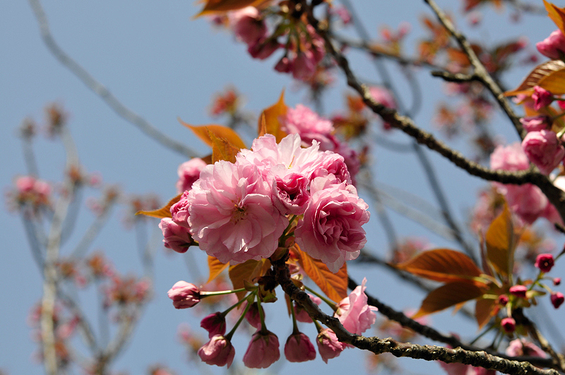 image0221