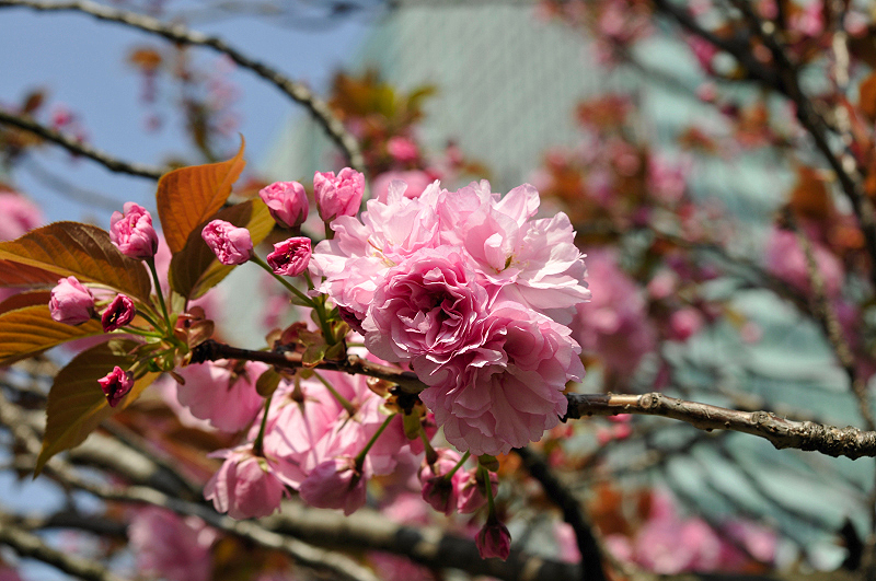 image0223