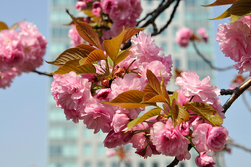 image0224