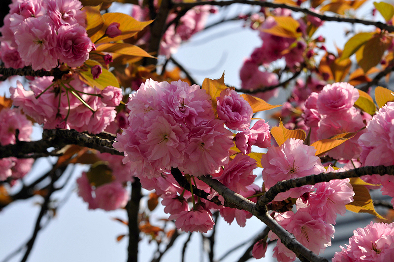 image0227