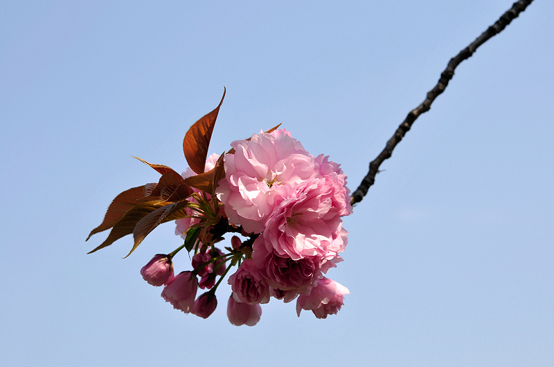 image0228