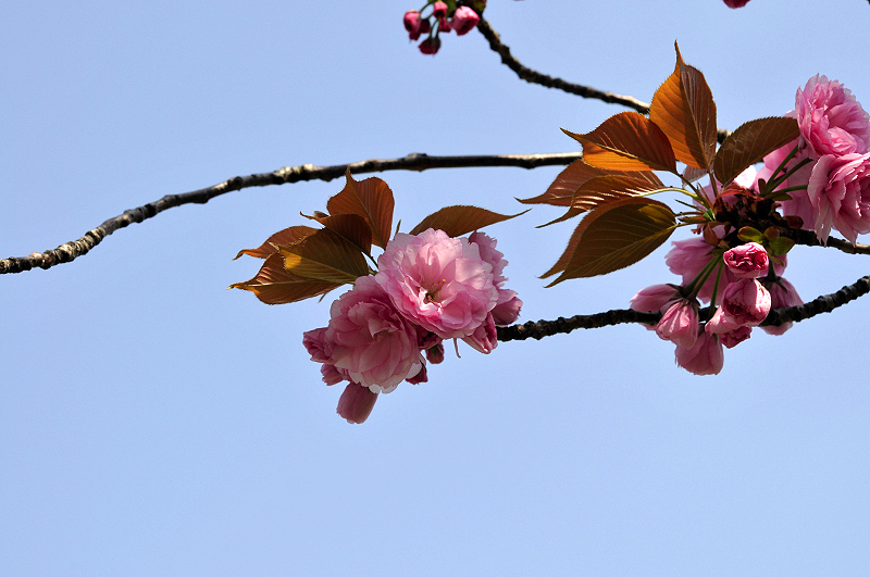 image0229