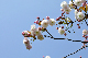 image0160