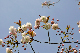 image0161