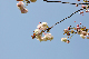 image0162