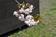 image0163