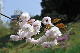 image0164