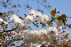 image0171