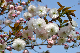 image0172