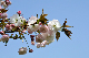 image0173