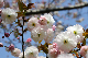 image0174