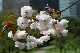 image0176
