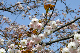 image0177