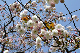 image0179