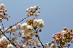 image0181