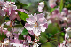 image0185