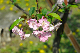 image0186