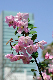 image0187
