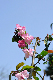 image0188