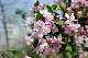 image0189