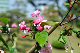 image0190