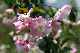 image0191