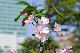 image0192