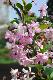 image0193