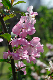image0194