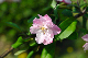 image0195