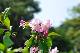 image0196