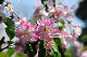image0199