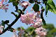 image0200