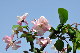 image0201