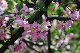 image0202
