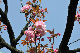 image0203