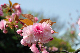 image0204