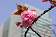 image0205