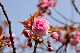 image0208