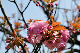 image0211