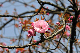 image0212