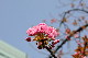 image0213